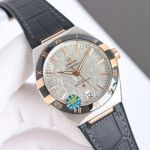 OMEGA Solid Stainless Steel 904L 41mm Watch